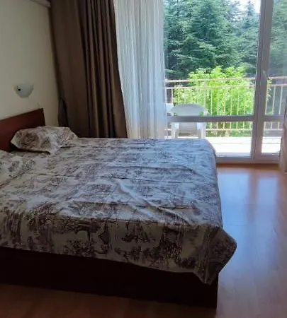 Studio Sveti Vlas