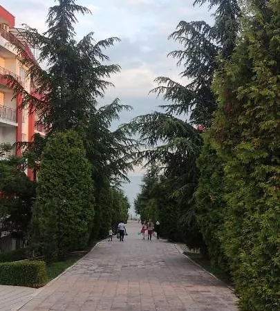Studio Sveti Vlas